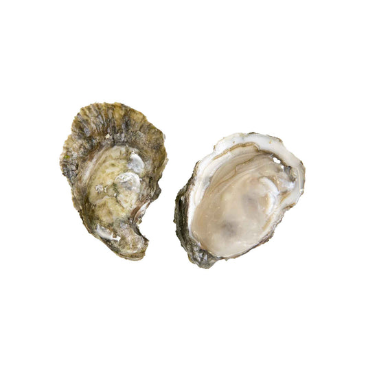 Chincoteague Oysters