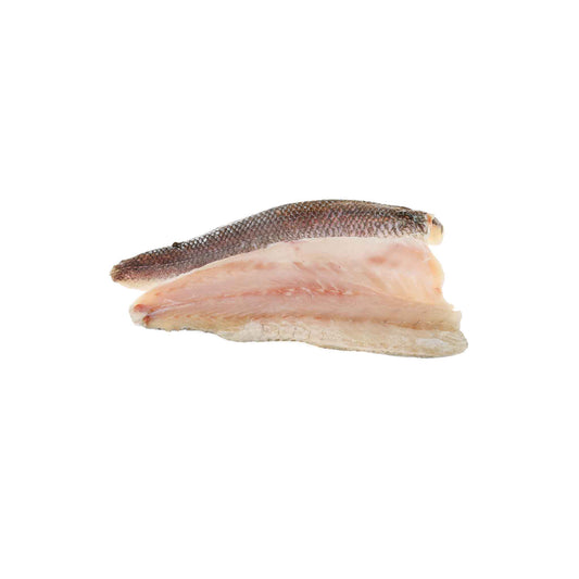 Branzino (Filet)