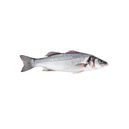 European Seabass Spain (Whole)