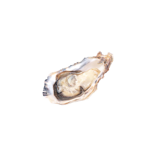 FANNY BAY OYSTER