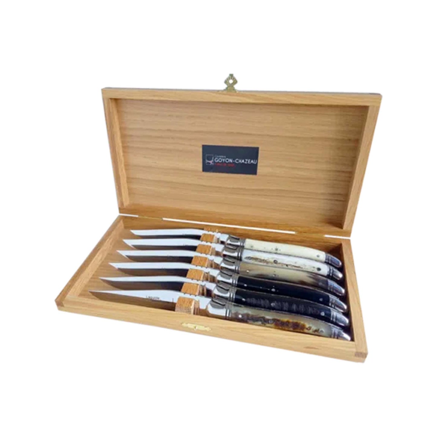 GOYON CHAZEAU 6 LAGUIOLE PRESTIGE KNIVES IN ASSORTED HORN