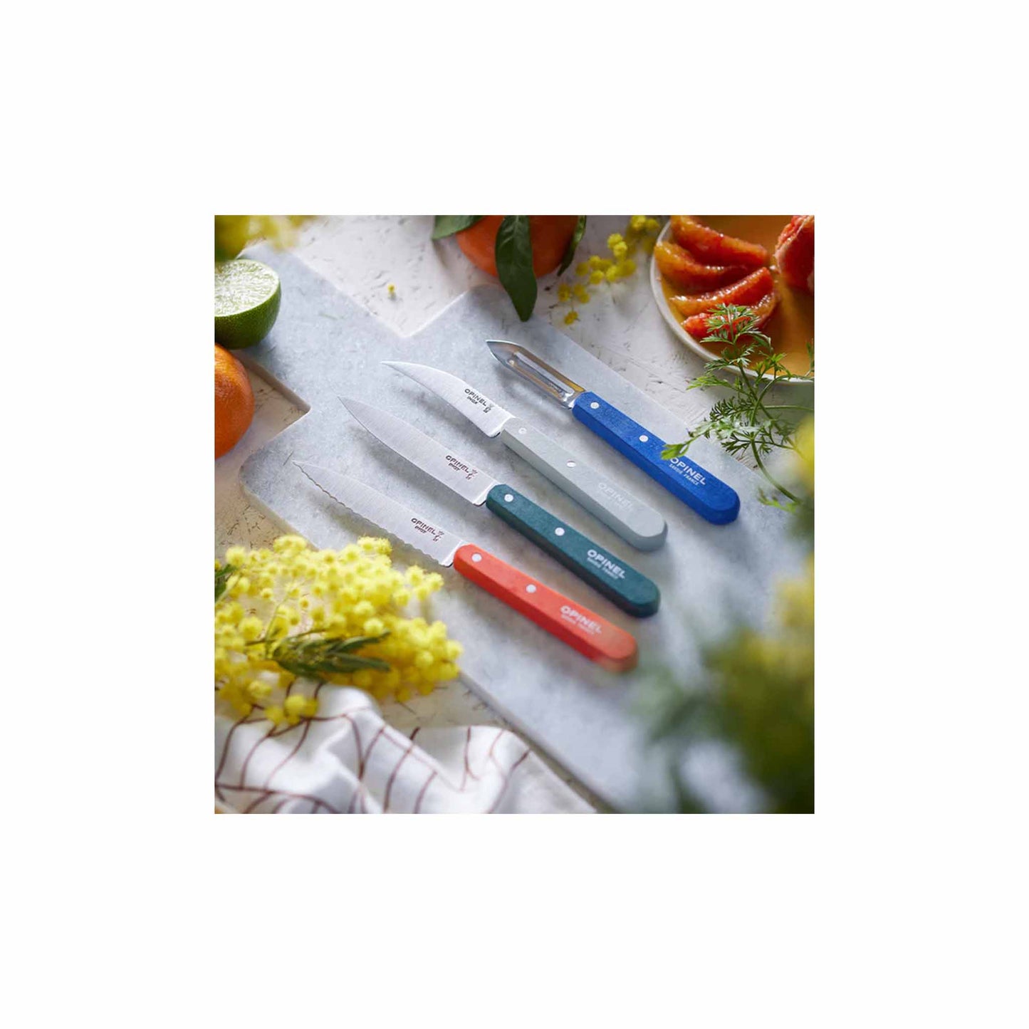 OPINEL LES ESSENTIELS PRIMO SMALL KITCHEN KNIFE SET